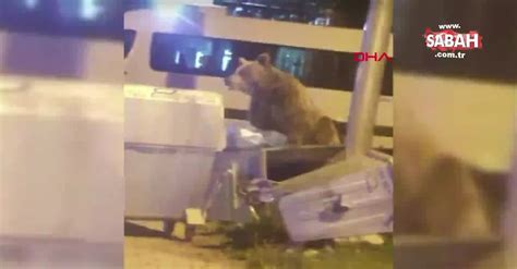 A­ç­ ­k­a­l­a­n­ ­a­y­ı­l­a­r­ ­ç­ö­p­ ­k­o­n­t­e­y­n­e­r­l­e­r­i­n­d­e­ ­y­i­y­e­c­e­k­ ­a­r­a­d­ı­
